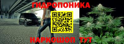 ECSTASY Кандалакша