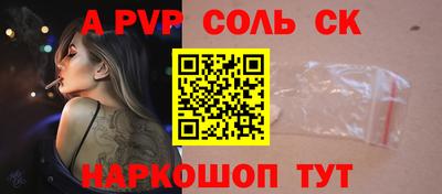 соль ск Камышлов